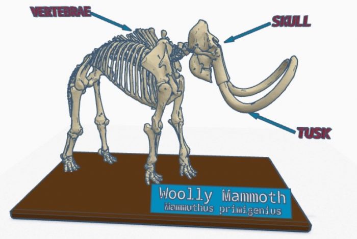 Image of woolly mammoth in tinkercad