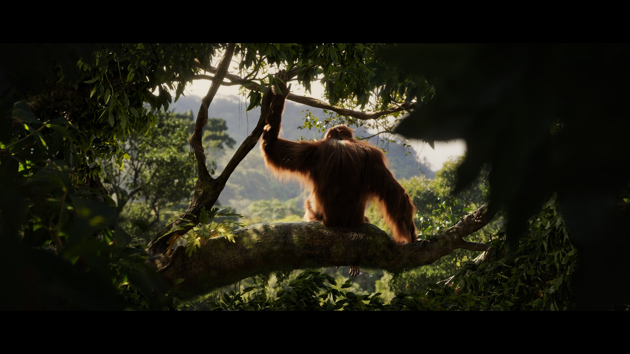A shot from the VES Student Award winning film showing Green the orangutan looking out at the jungle.