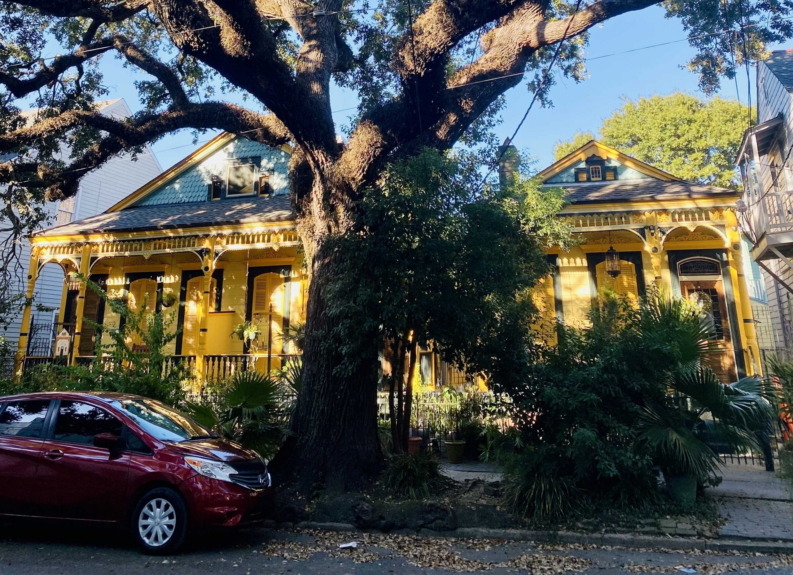 New Orleans homes with a tree